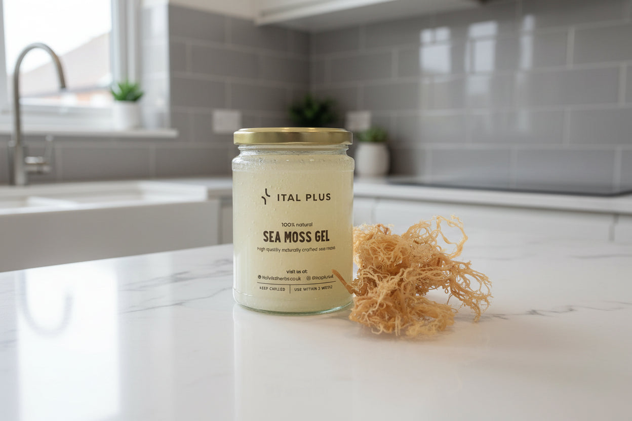 Sea Moss Gel (CLEAR)
