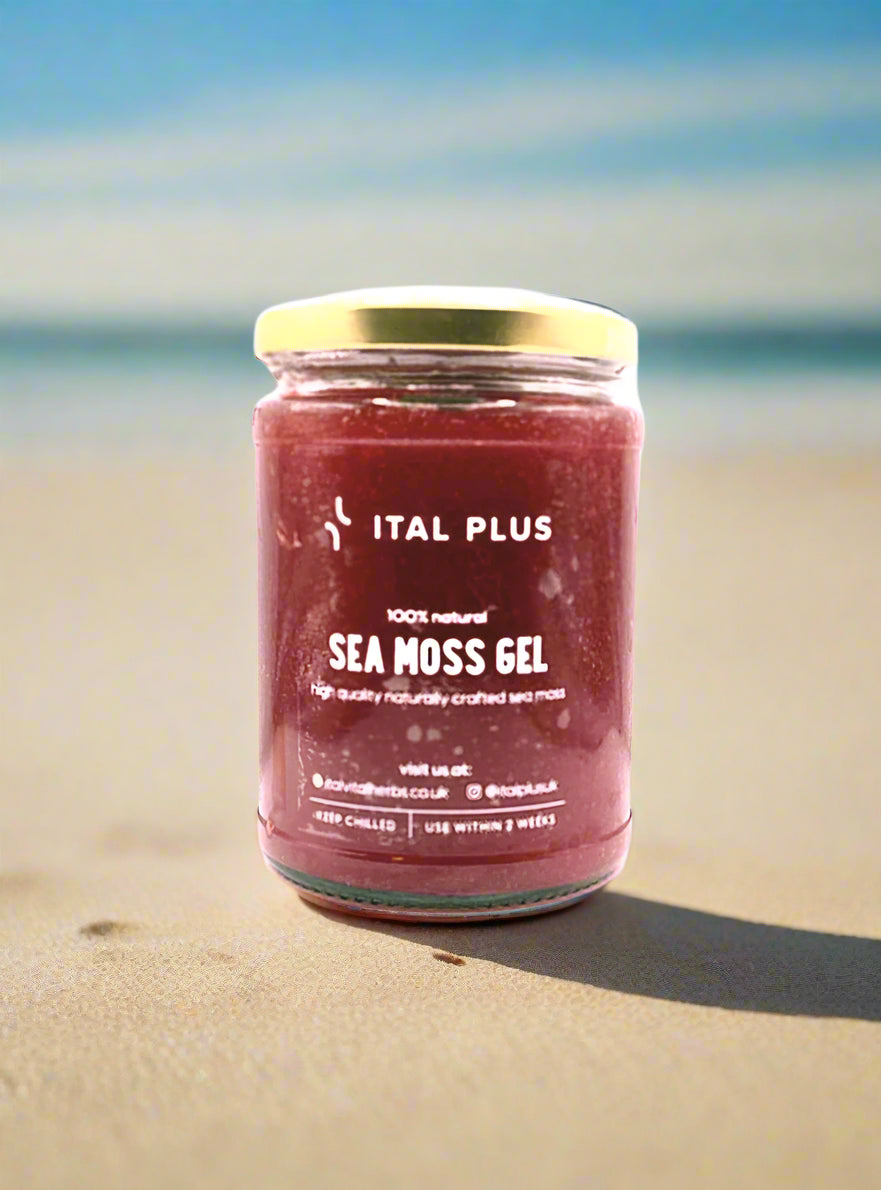 Sea Moss Gel (PURPLE)