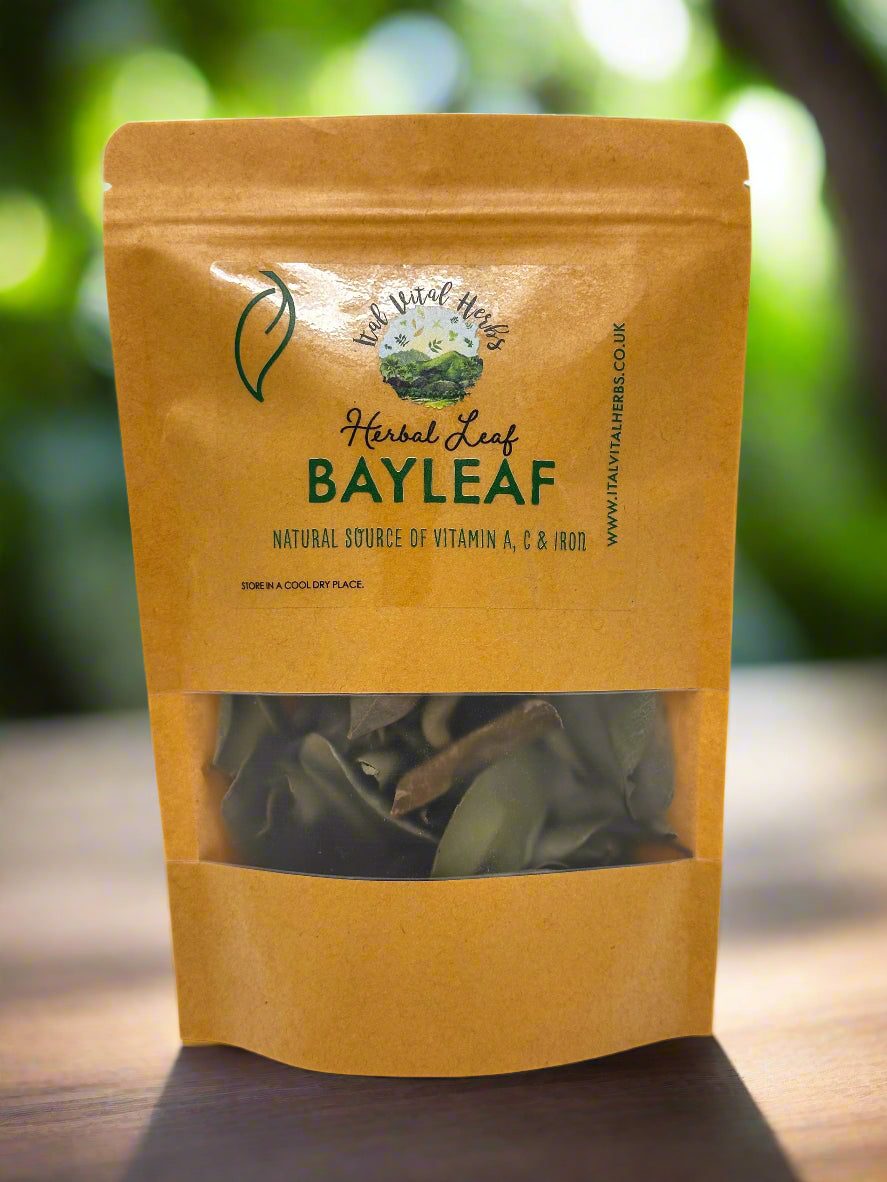 Caribbean Bayleaf