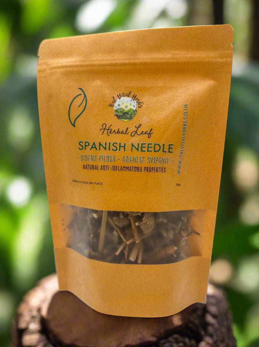 Spanish Needle