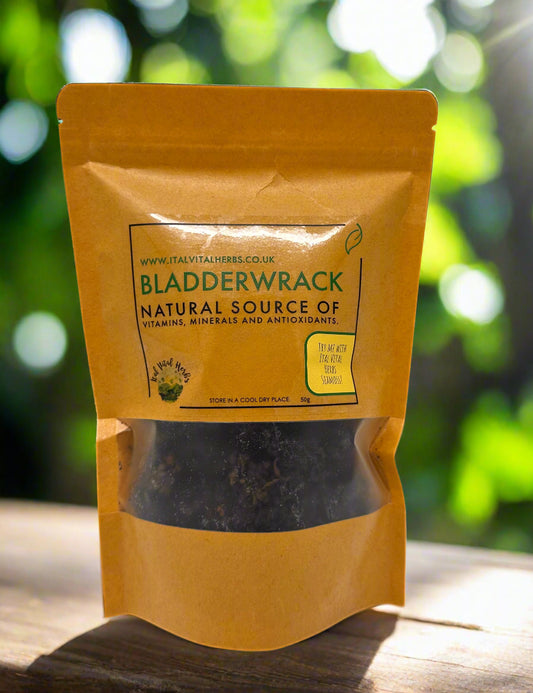 Bladderwrack