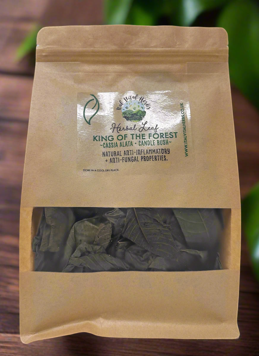 King Of The Forest ( CASSIA ALATA)