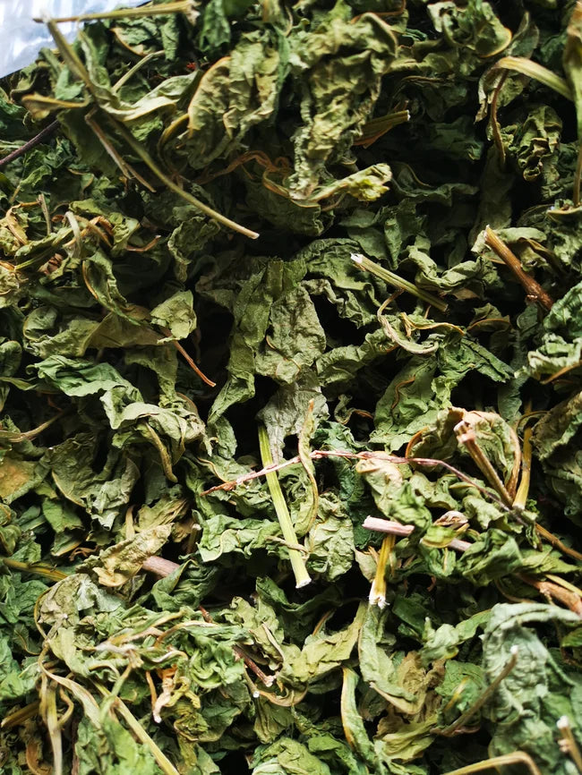 Gully Root /Guinea Hen LEAF