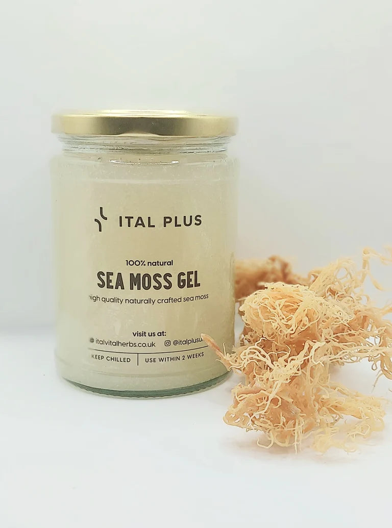 Sea Moss Gel (CLEAR)
