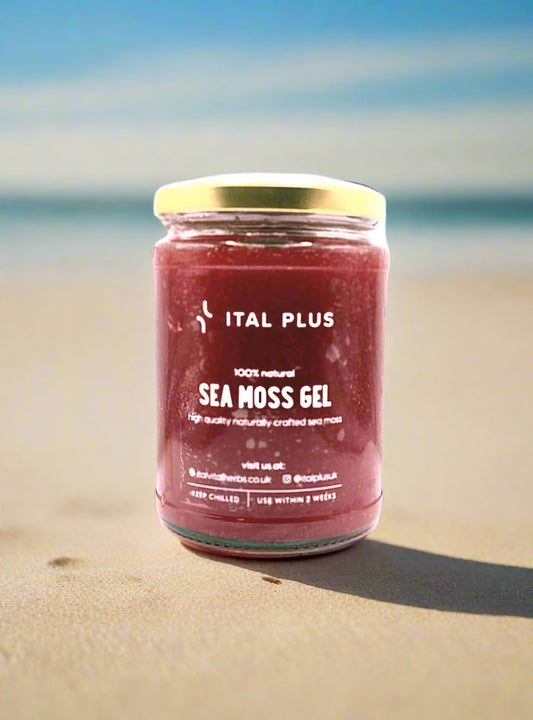 Sea Moss Gel (PURPLE)