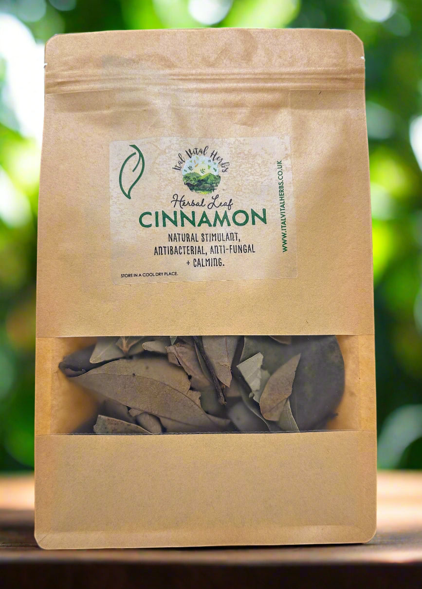 Caribbean Cinnamon Leaves