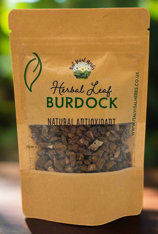 Burdock Root