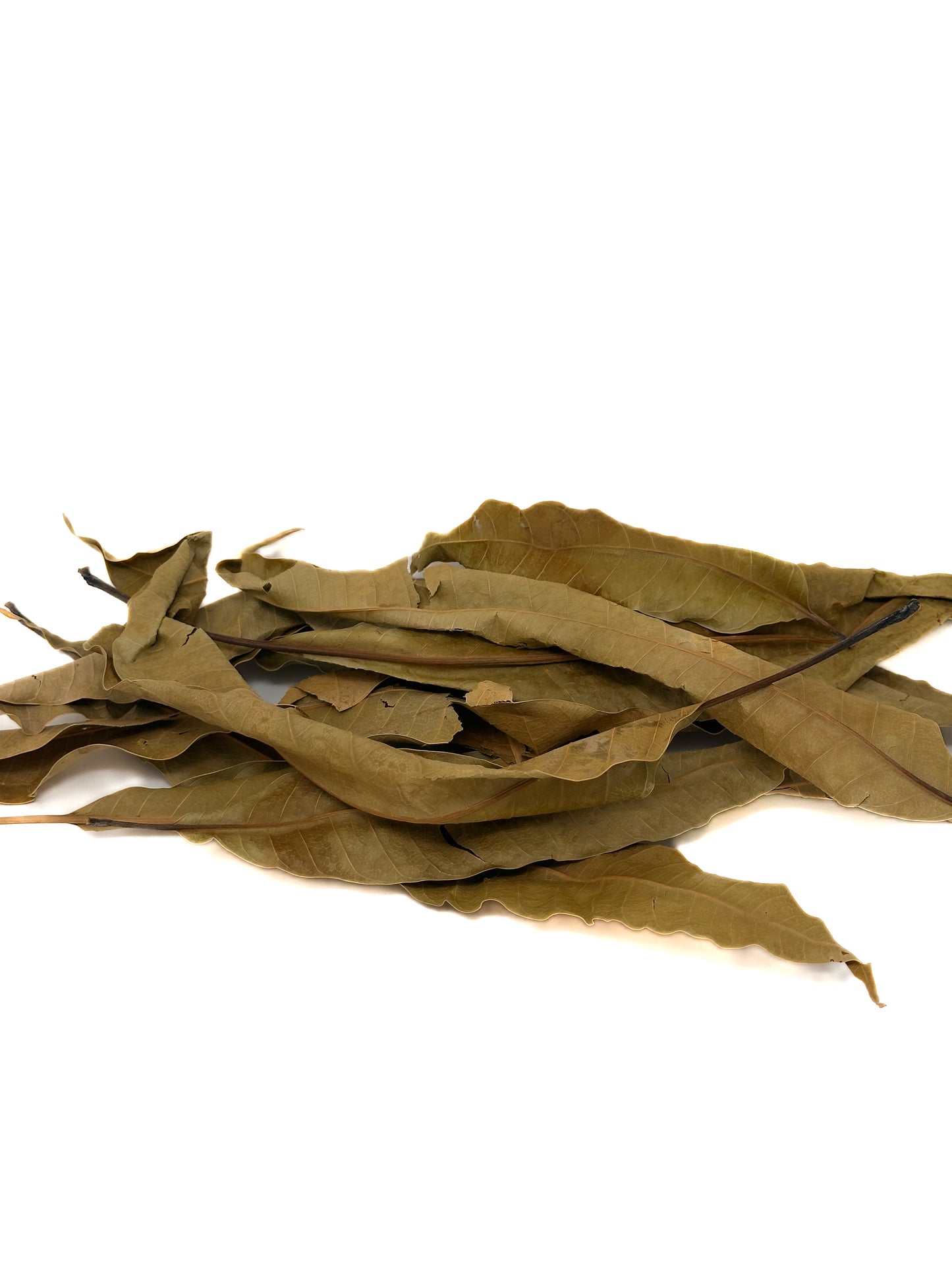 Mango Leaf