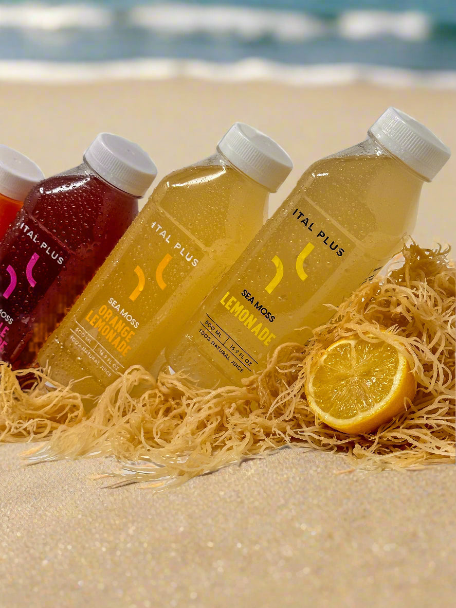 Ital Plus Sea Moss Juice (500ml) NEW!!!!