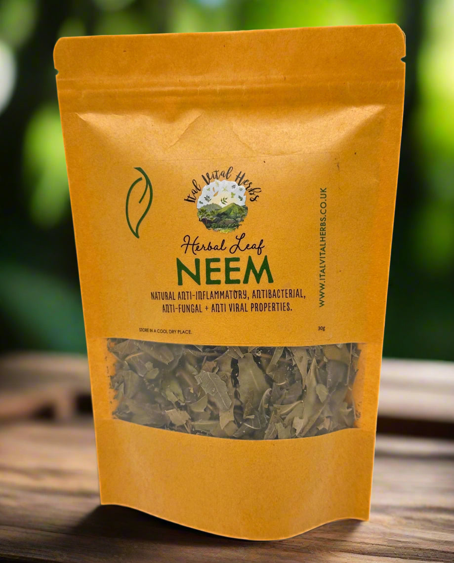 Neem Leaf