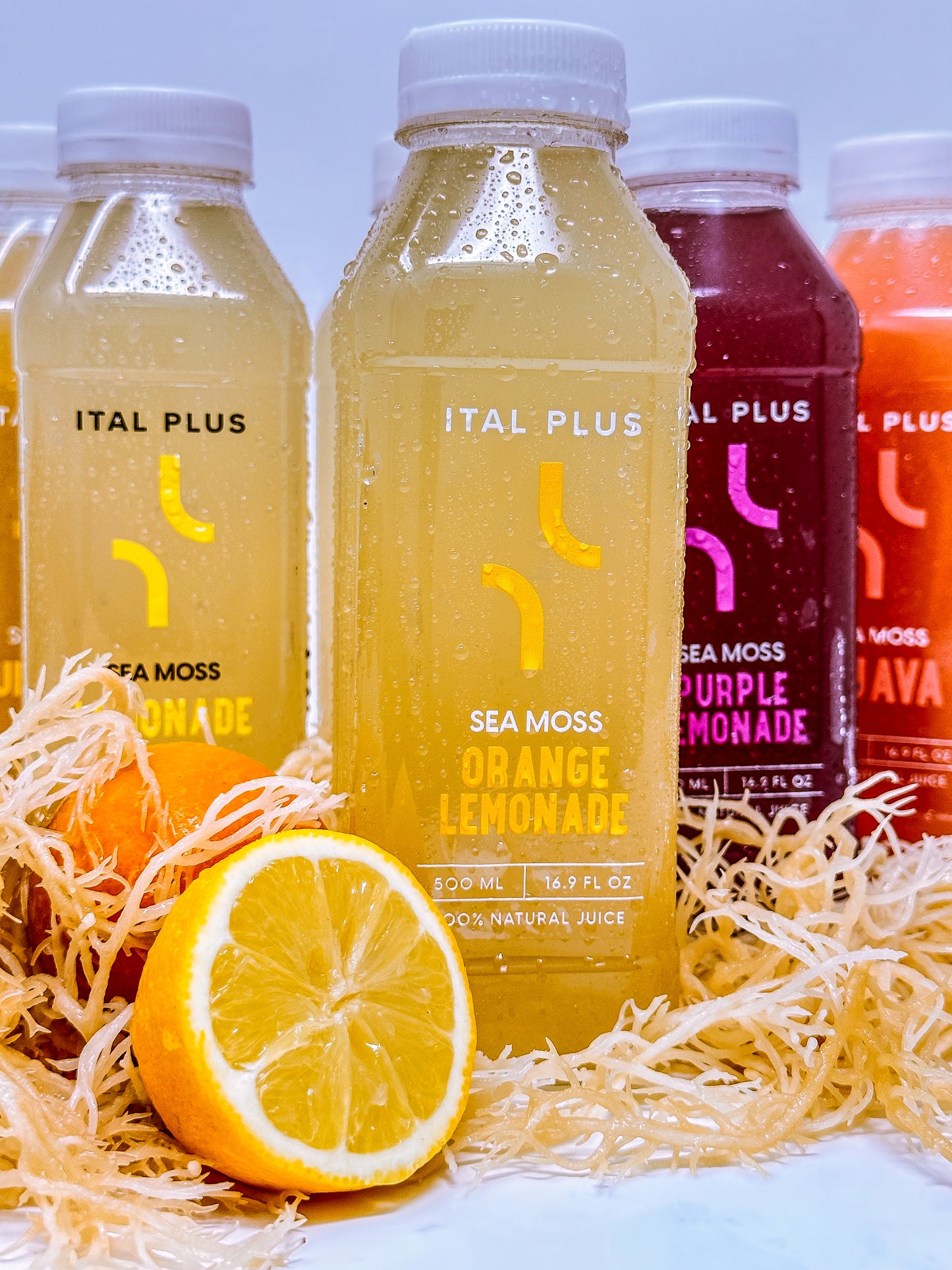 Ital Plus Sea Moss Juice (500ml) NEW!!!!
