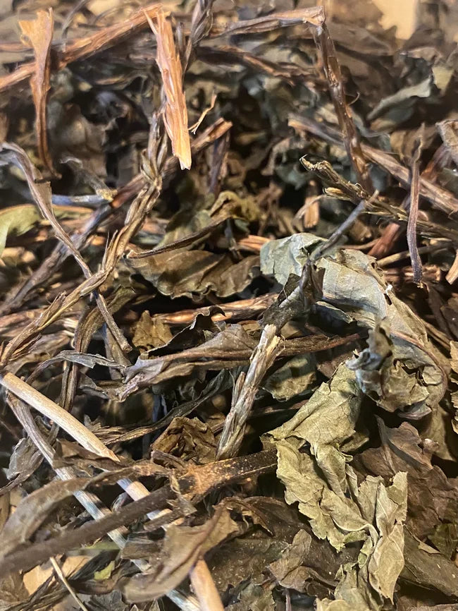 Blue Vervain