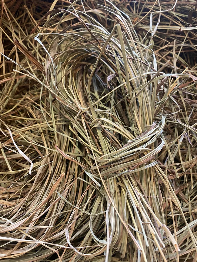 Lemongrass