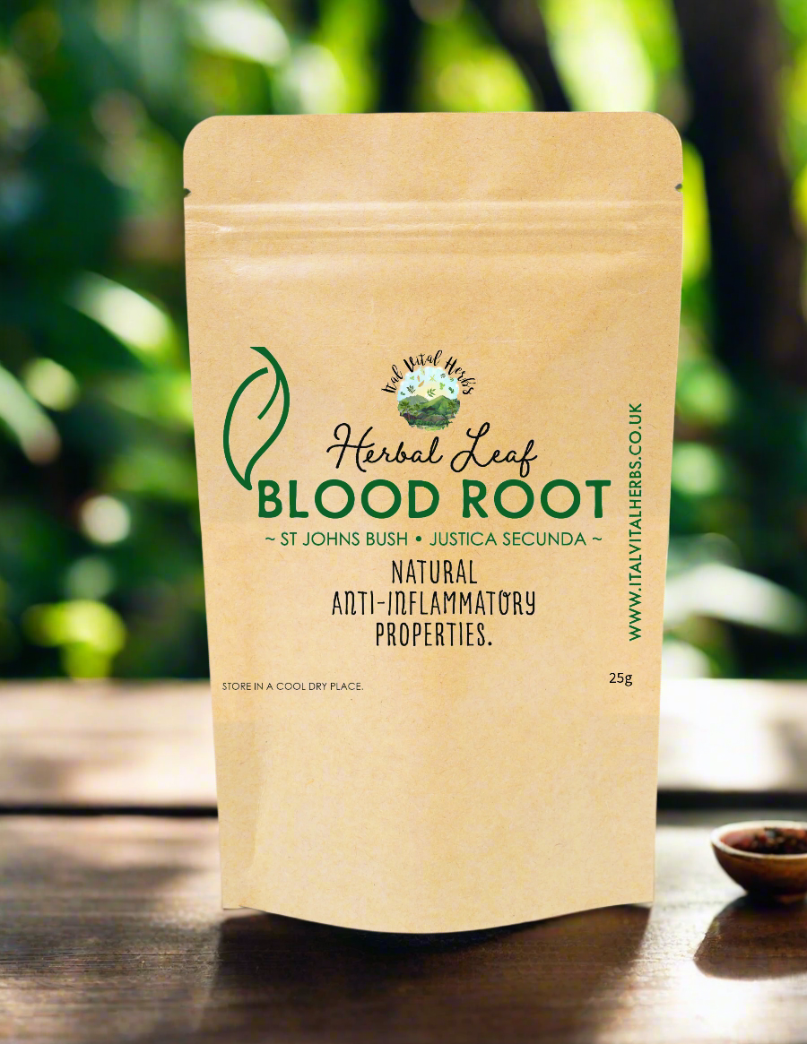 St Johns Bush / Blood Root